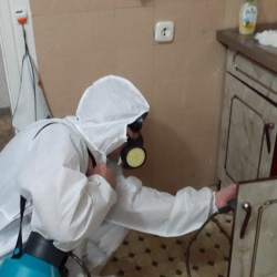 Дезинфекция от муравьев в квартире в Среднеколымске