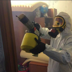 Уничтожение клопов в квартире. Среднеколымск
